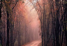 足协杯-巴尔加斯精彩一条龙 海港2-1浙江晋级8强.