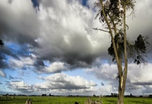 狗子28：格罗斯：多特无法在每三天一赛的情况下，保持在一个稳定的水平上.