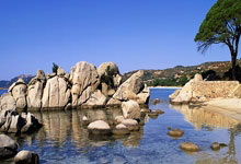 狗子28：萨哈：C罗仍然是葡萄牙最重要的球员；他退役后会被当做GOAT.